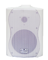 SVS Audiotechnik WS-30