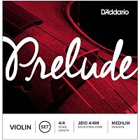 D`ADDARIO J810 4/4M