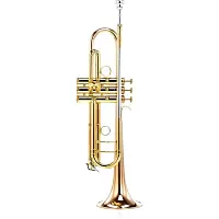 Carol Brass CTR-5060H-GSS-Bb-L